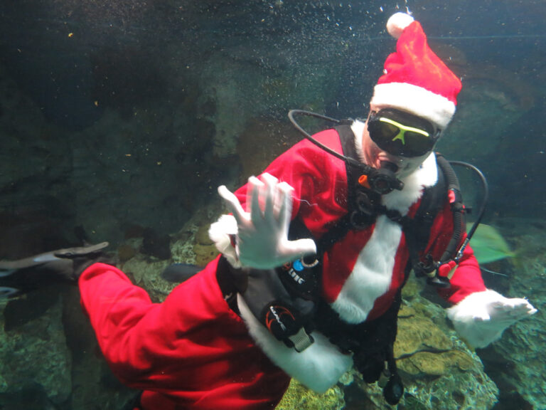 santa
